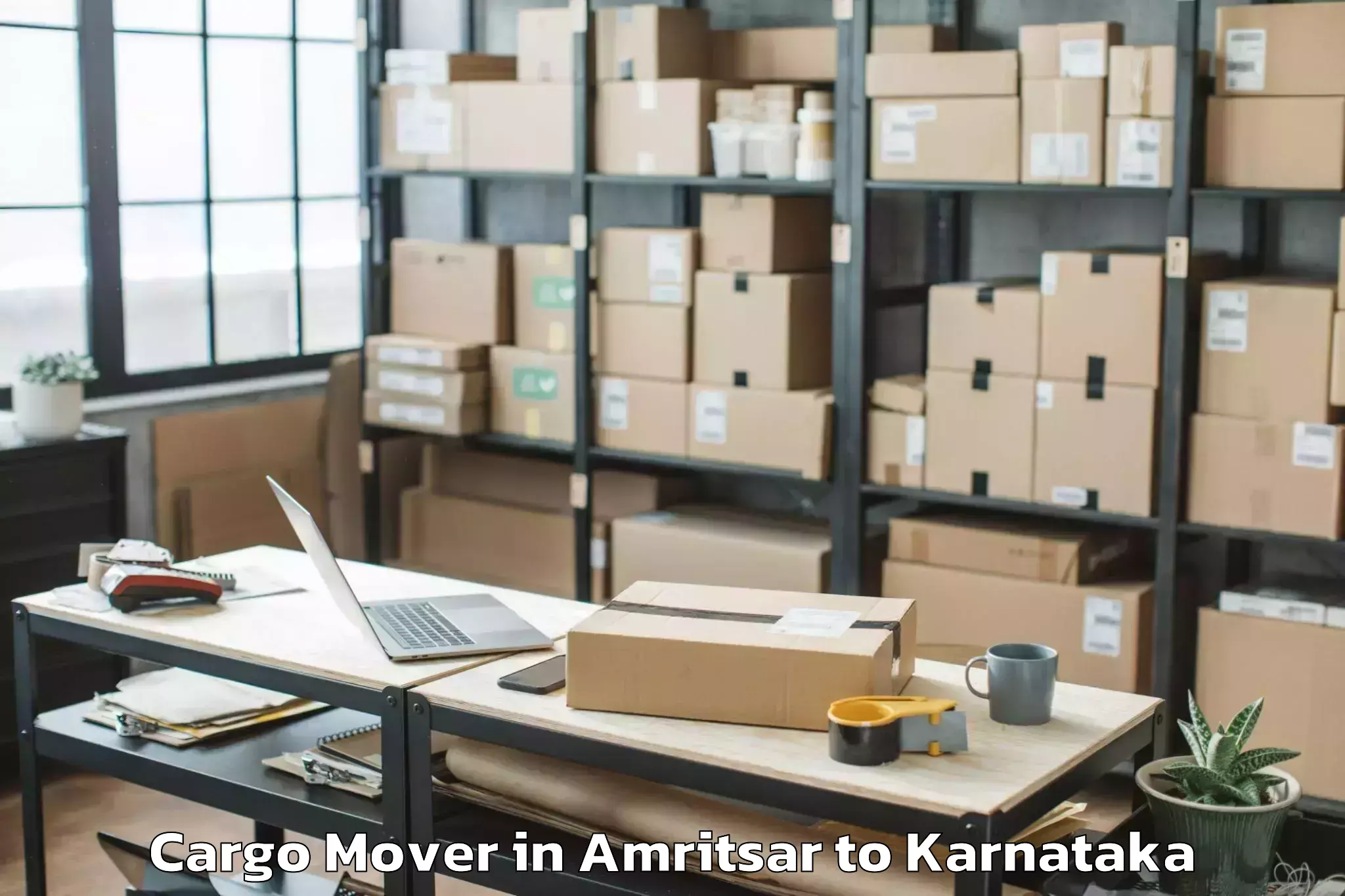 Reliable Amritsar to Hoovina Hadagali Cargo Mover